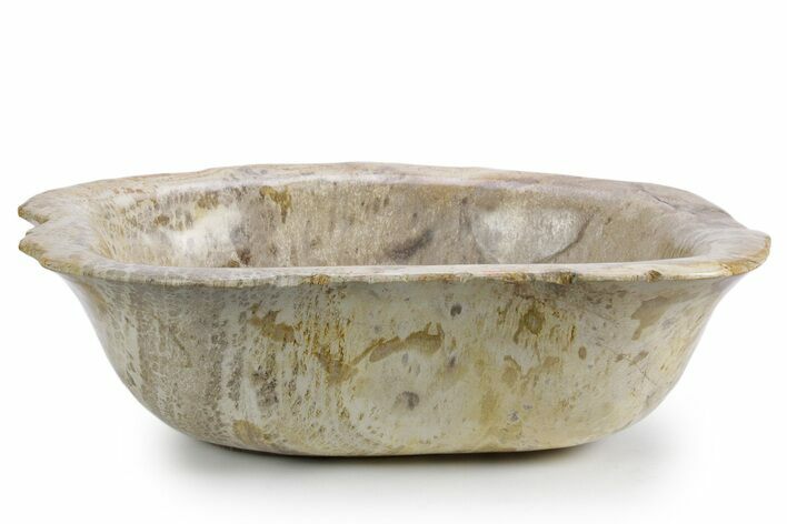 Petrified Wood (Tropical Hardwood) Bowl - Indonesia #357356